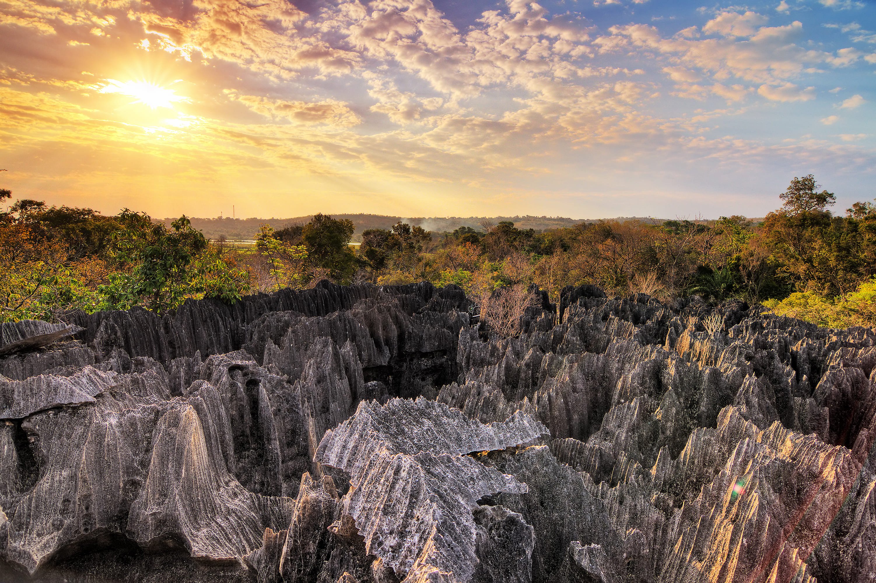 Los Tsingy de Bemaraha y la avenida de los baobabs - Visita de las gargantas de Manambolo y de los pequeños Tsingy. - Visite des gorges de Manambolo et les petits tsingy