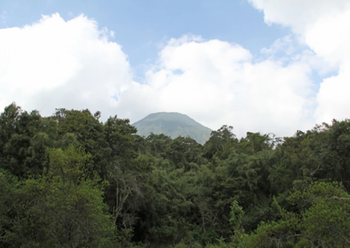 14-daagse Rwanda-Oeganda Avontuur - Ochtendtransfer naar Mgahinga - Foto van de dag