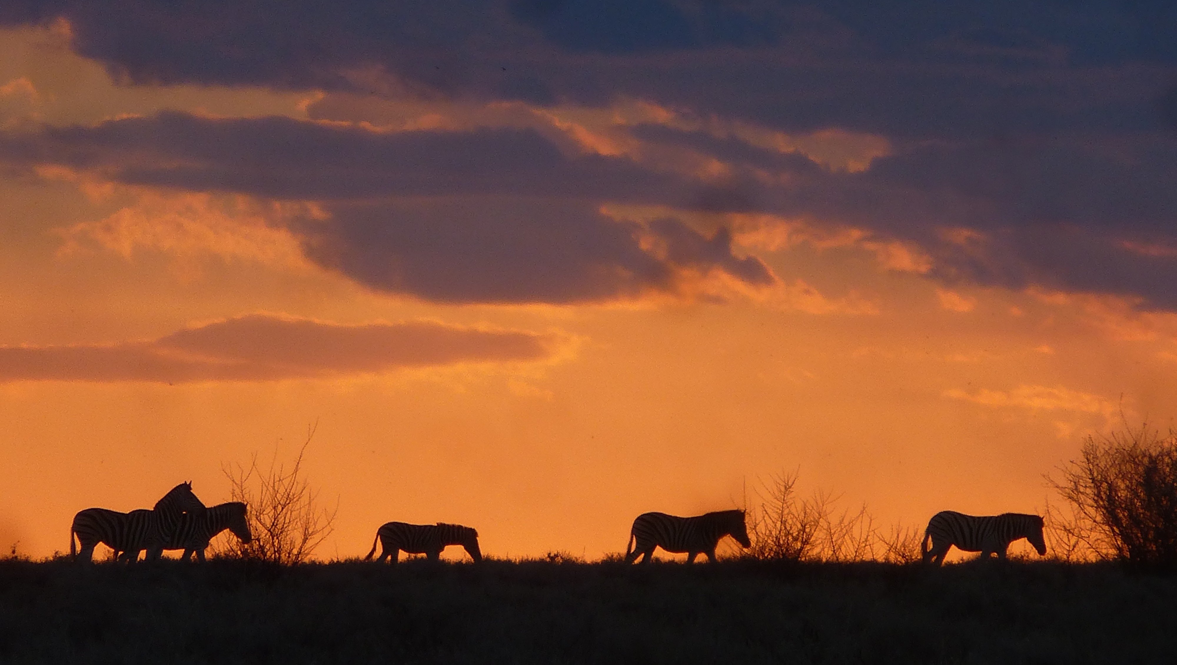 Die Flüsse Namibias - Safari im Etosha - Tagesfoto