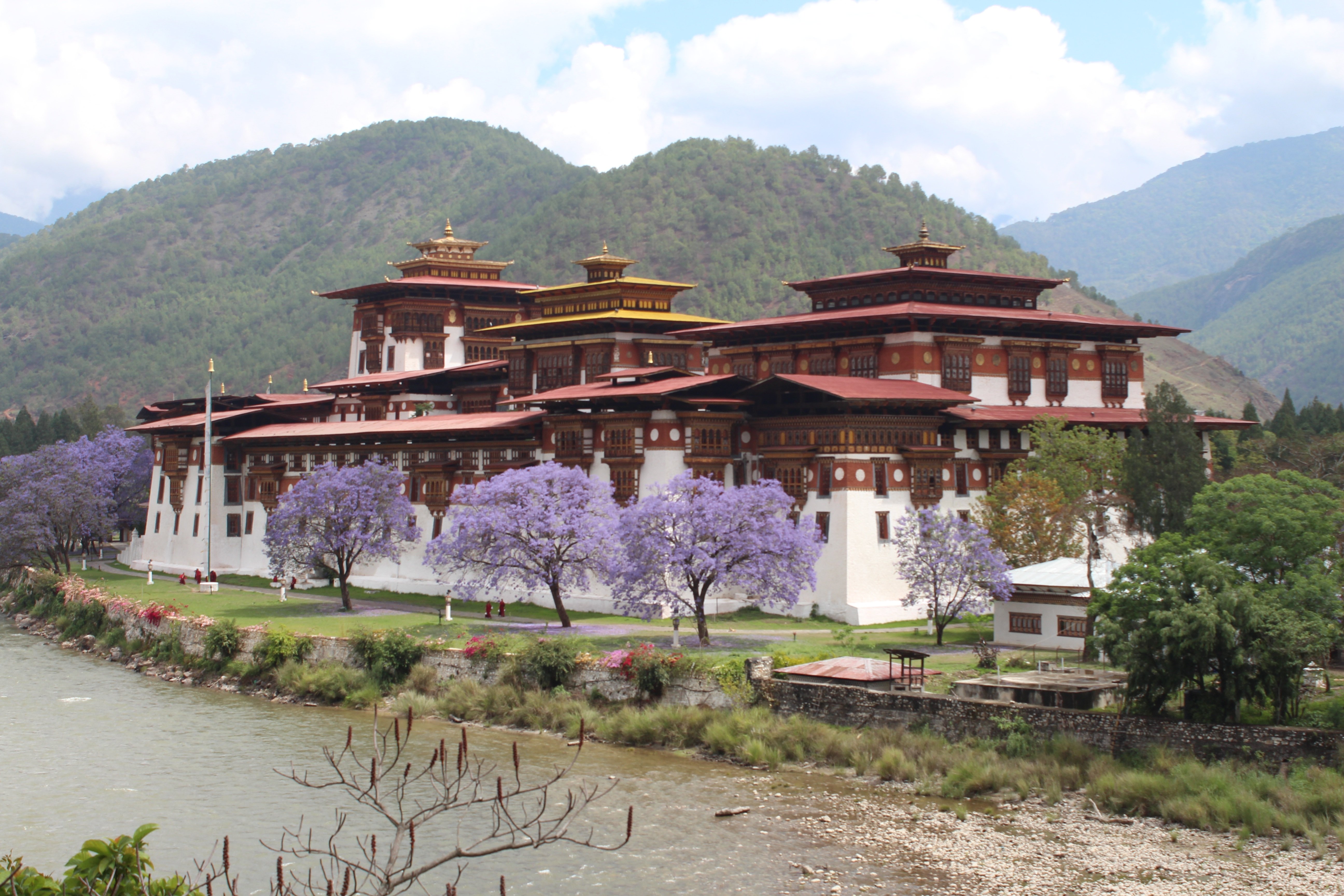 Tour culturale del Bhutan occidentale via Nepal - Guida fino a Punakha via il Passo Dochula - Foto del giorno