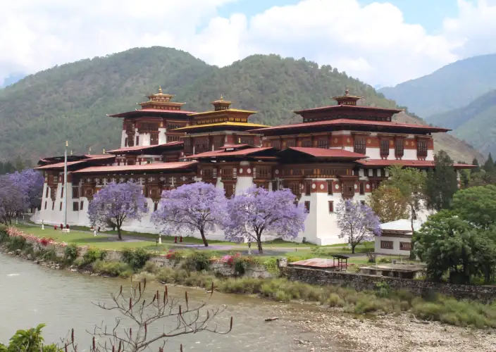 Tour culturale del Bhutan occidentale via Nepal - Guida fino a Punakha via il Passo Dochula - Foto del giorno