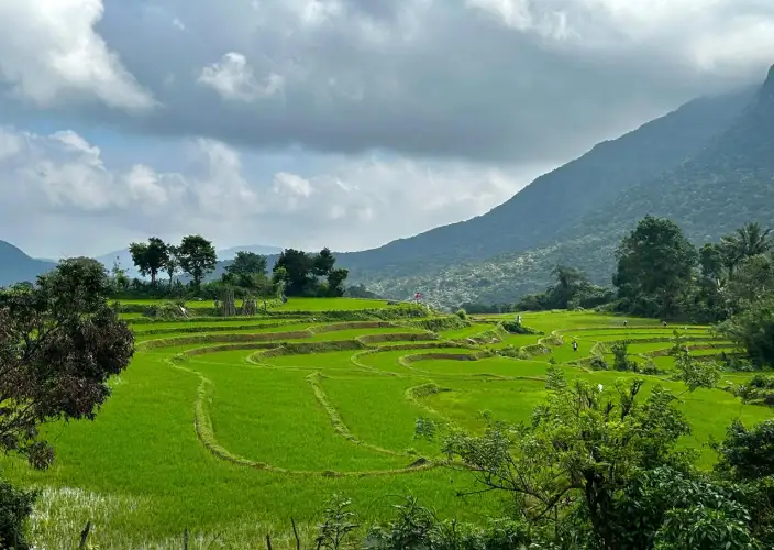 Encuentros insólitos en el país del oro verde - Paseo por un pueblo típico - Photo du jour