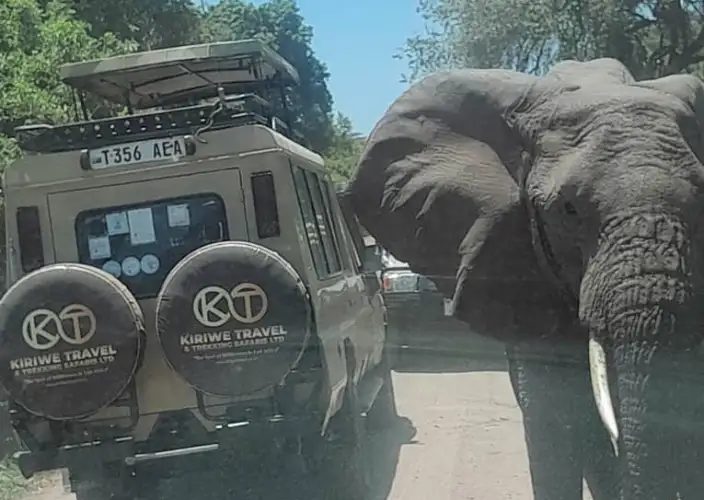 7 Tage Tansania Big Five Safari - Arusha Stadt – Tarangire NP - FB - Photo of the day