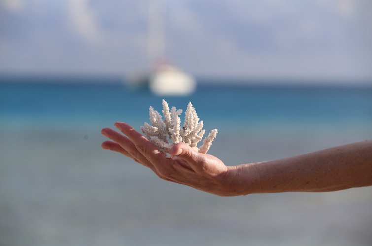 Live like Polynesians - Huahine - Photo of the day