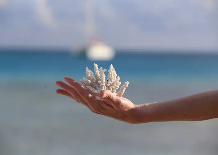 Live like Polynesians - Huahine - Photo of the day