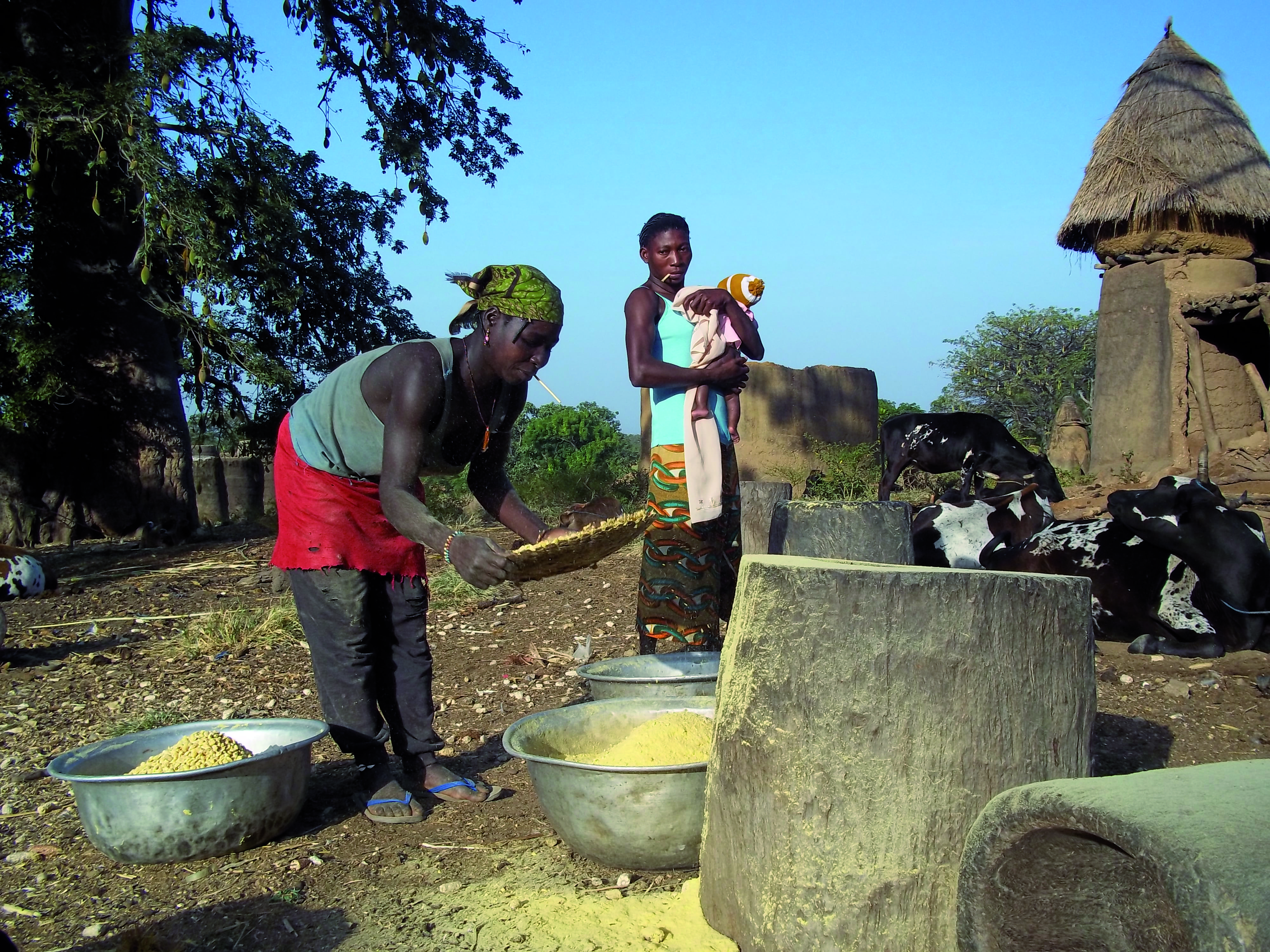 Ontmoetingen en ontdekking van tradities - Sokodé - Sokodé