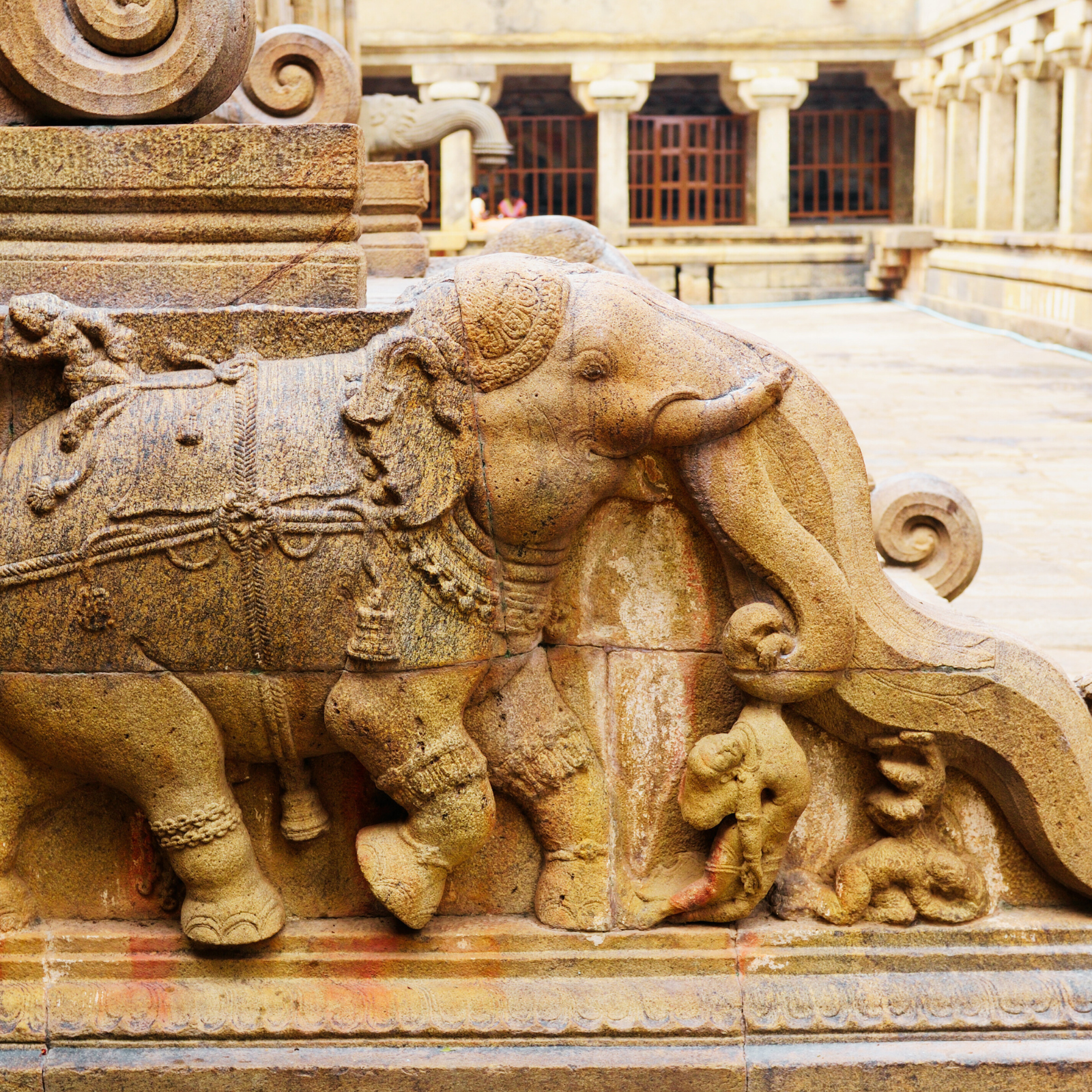 Circuit d'architecture des temples du sud de l'Inde : un voyage guidé, privé et exclusif à travers les sites du patrimoine mondial de l'UNESCO - Madurai à Mysore - Photo du jour