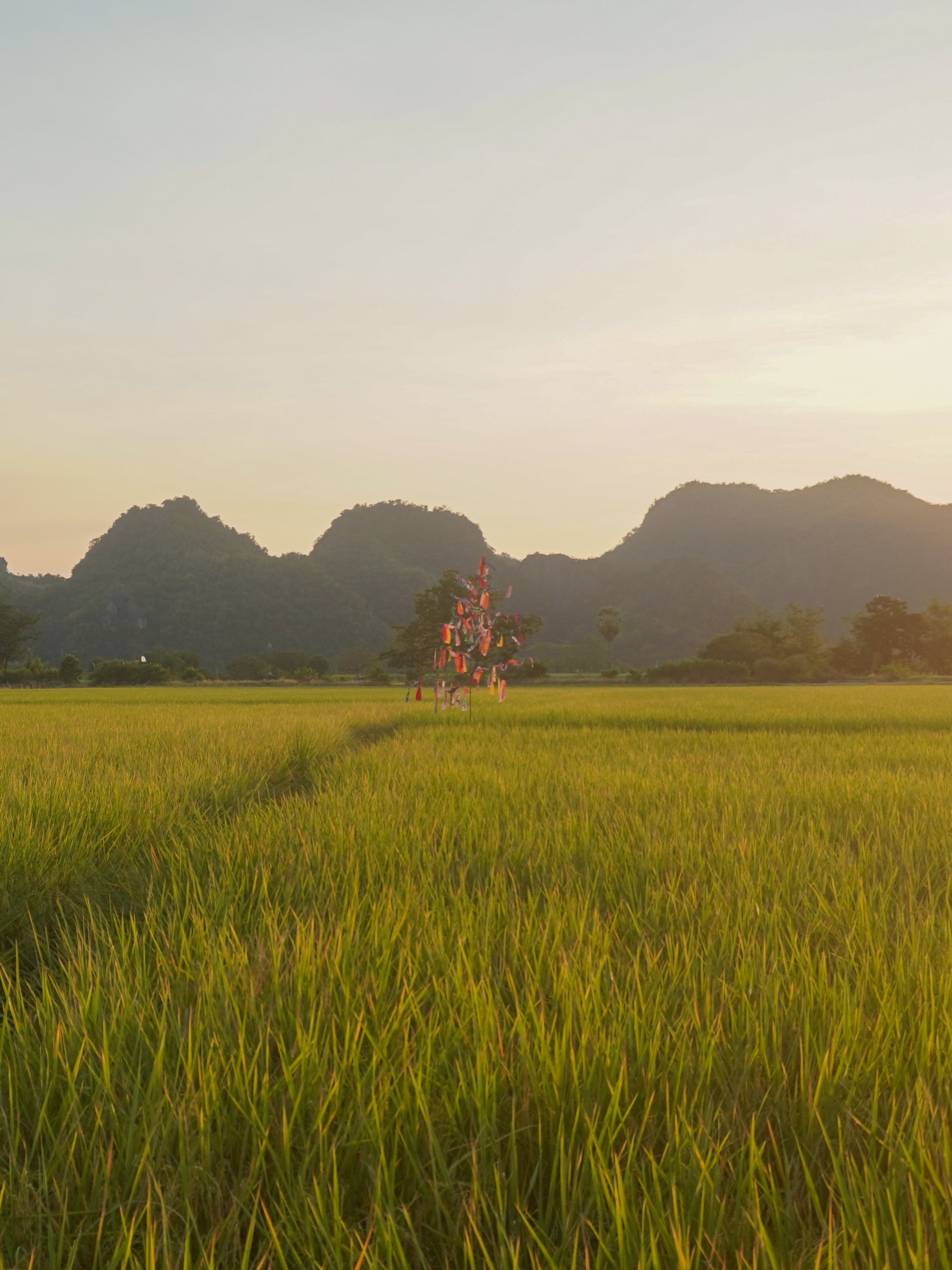 Van Thailand naar Cambodja - Op weg naar Kanchanaburi - En route pour Kanchanaburi
