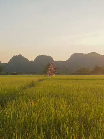 Van Thailand naar Cambodja