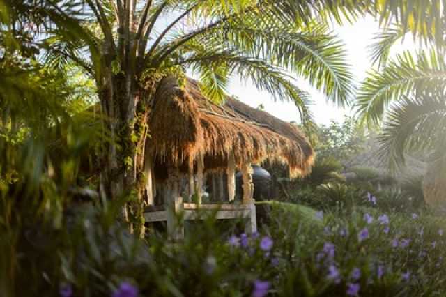 Voyage spirituel à Bali : yoga, purification et reconnexion au cœur de l’île des Dieux.