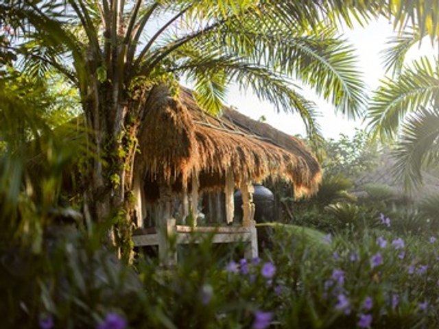 Viagem espiritual a Bali: ioga, purificação e reconexão no coração da ilha dos Deuses.