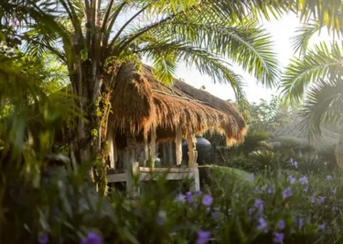 Voyage spirituel à Bali : yoga, purification et reconnexion au cœur de l’île des Dieux. - Et si c’était ça, le bonheur ? - Photo du jour