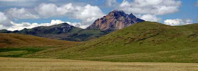 Ornithological trip to Ecuador