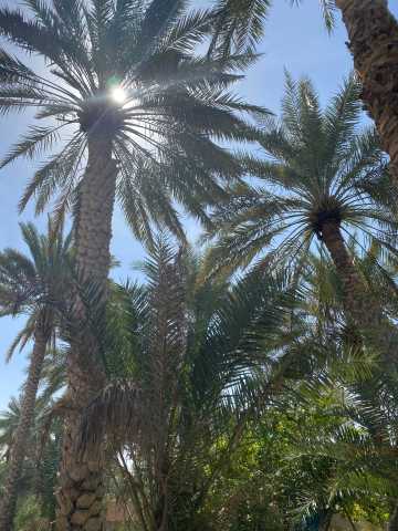 Omã, terra de contrastes