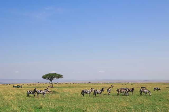 Safari de 9 jours de la Grande Migration des gnous du Serengeti