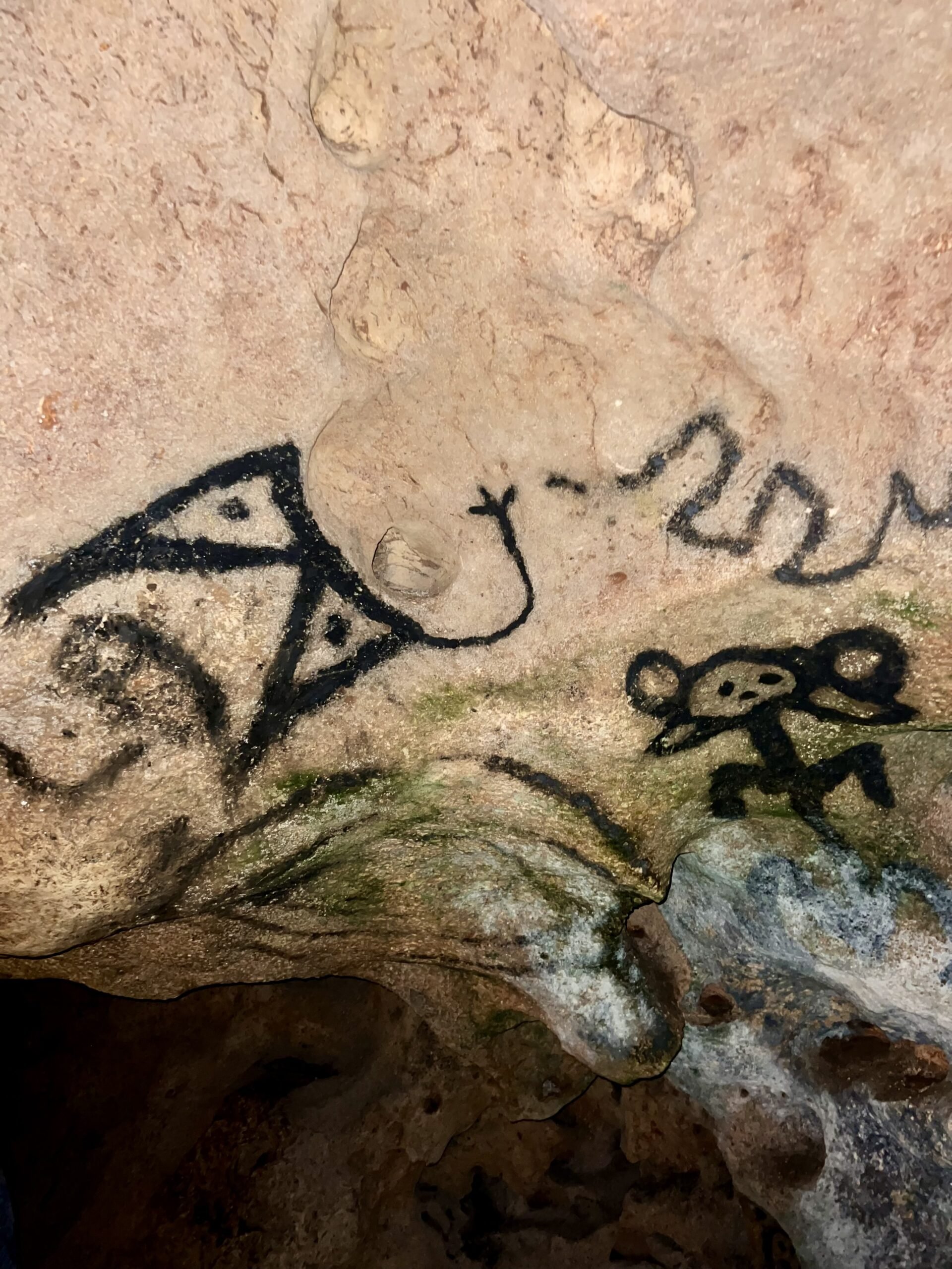 Bayahibe et Los Haitises - Choisissez votre expérience : Catalina ou La Romana & Altos de Chavón - Photo du jour