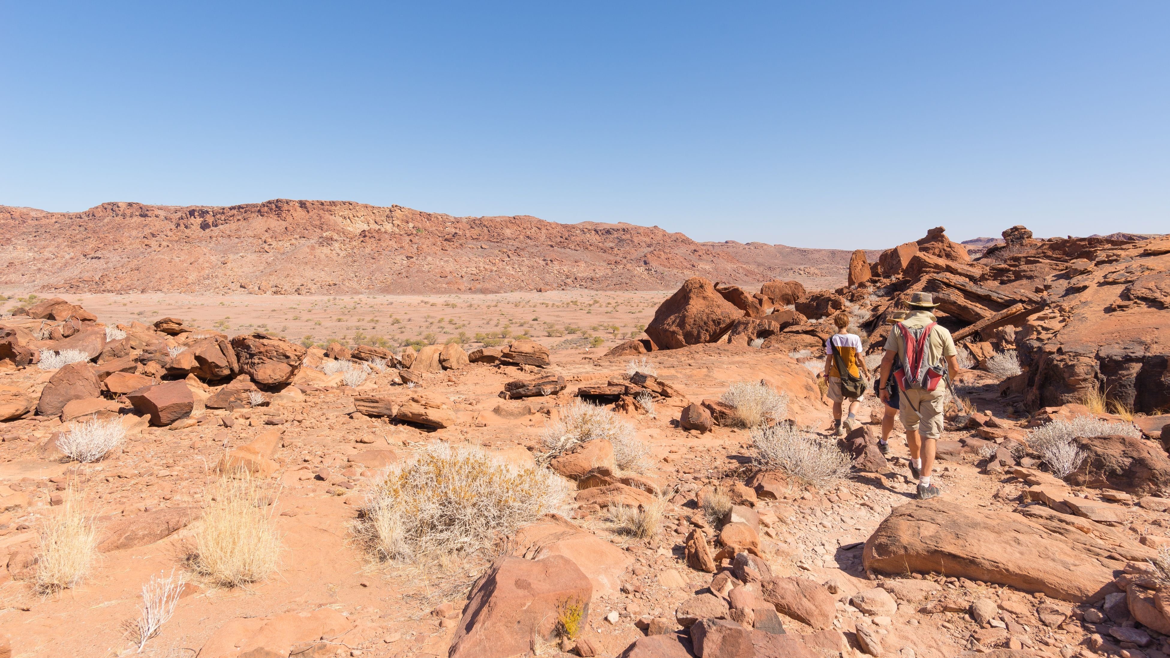 El gran Namib - Palmwag - Twyfelfontein - Palmwag - Twyfelfontein