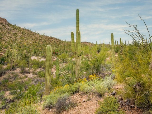 Roadtrip 100% Arizona: duik in het hart van de woestijn