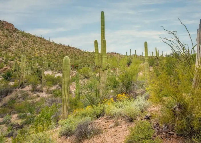 100% Arizona Roadtrip: dive into the heart of the desert - Adventure on the Apache Trail - Photo of the day
