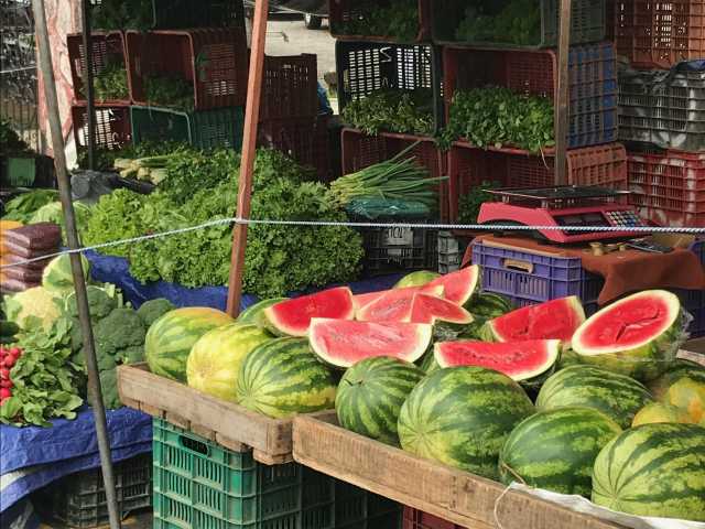 Fauna, flora en ontspanning – een gevarieerd en voordelig verblijf