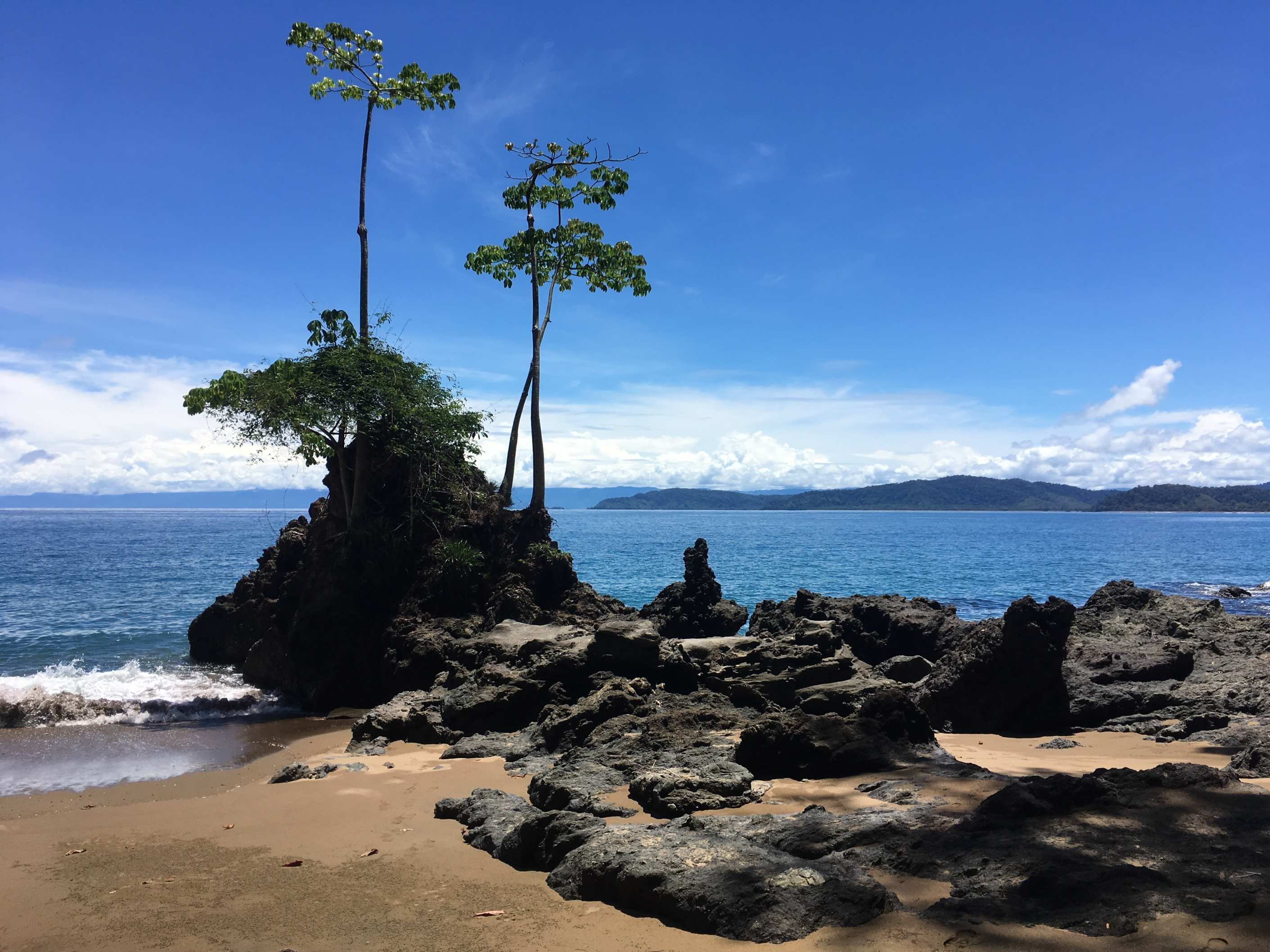 Gran Tour en el país del oro verde - Drake - Isla del Caño - Drake - Isla del Cano