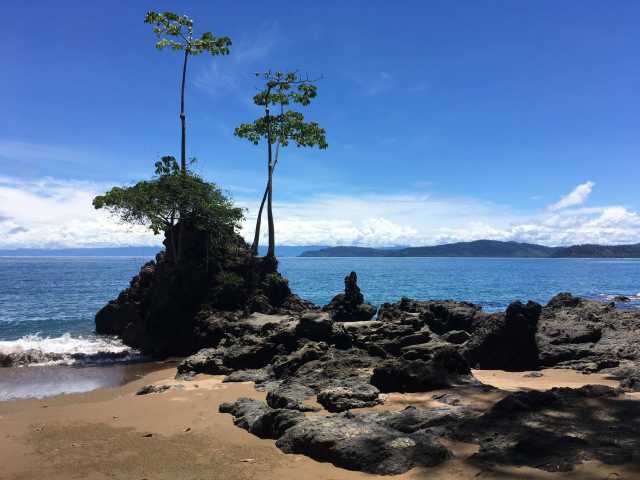 Grand Tour in het land van het groene goud