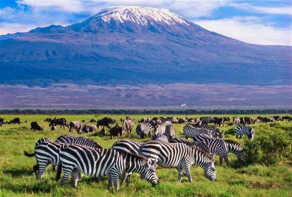 Safari de lujo en avión por Kenia - Vuela al Parque Nacional de Amboseli – Majestuosas vistas de la montaña - Foto del día