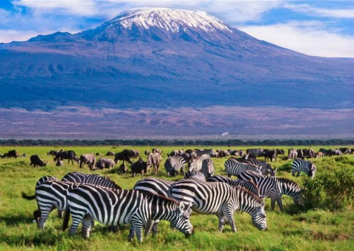 Luxury Flying Safari Across Kenya - Fly to Amboseli National Park – Majestic Mountain Views - Photo of the day