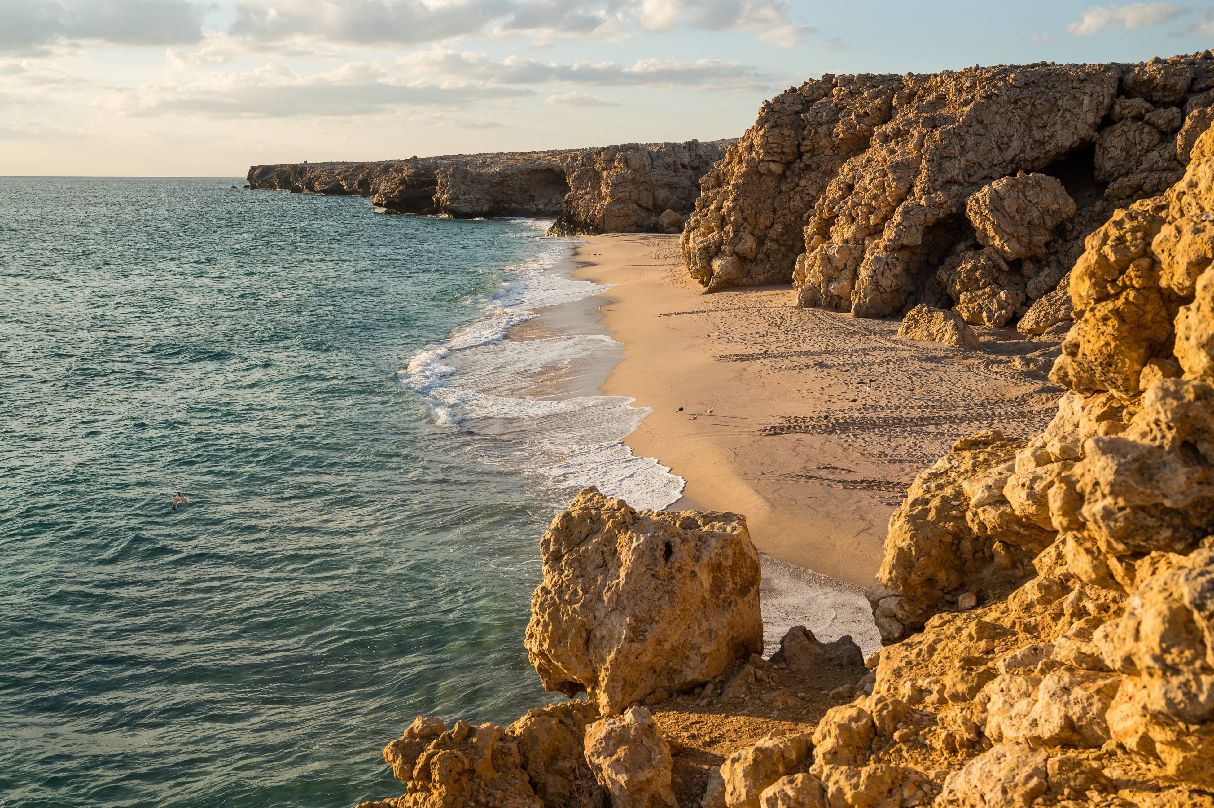 Oman, terre de contrastes - Masirah Island - Masirah Island
