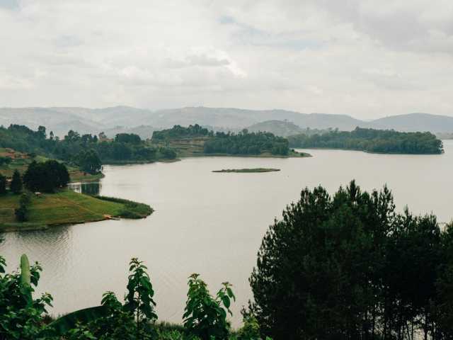 Circuit de 4 jours de trekking avec les gorilles dans le parc national du Mont Mgahinga, Ouganda