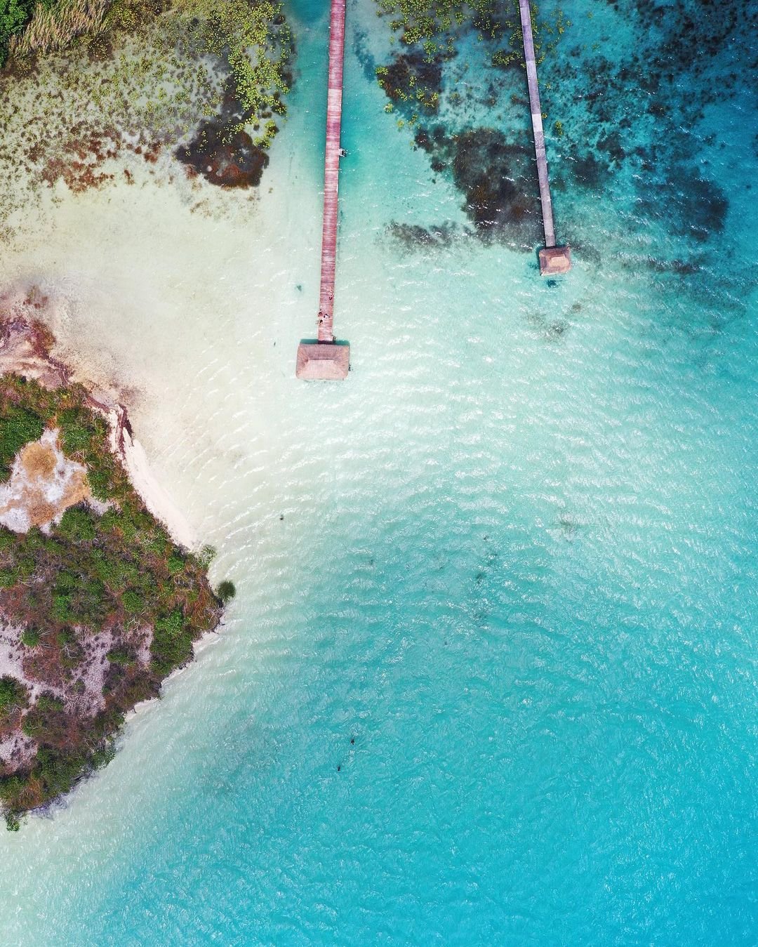 L’ANELLO DELLO YUCATÁN☀️ - Crociera in barca a vela: 3h di magia su Bacalar - Foto del giorno