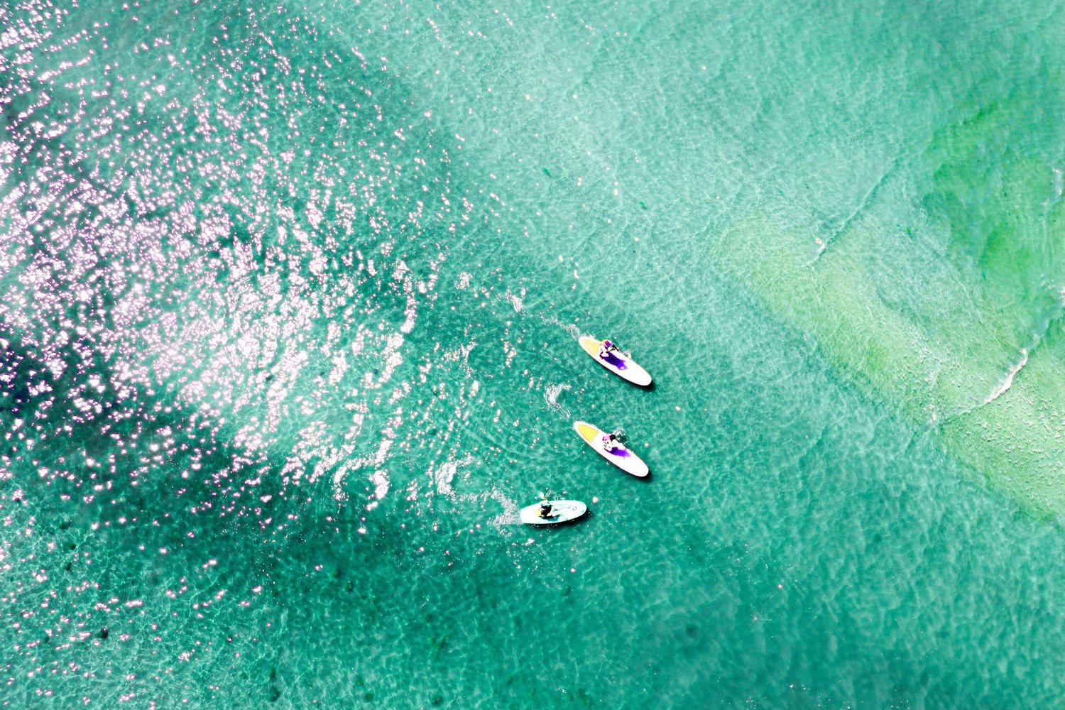 🌴 7-day getaway to Nosy Be - Relaxation day & free water sports base - Photo of the day