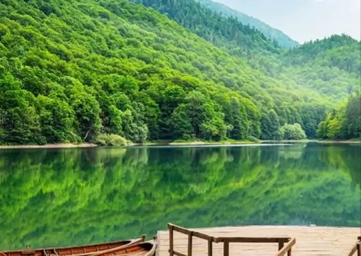 Through the Balkans: Canyons, Kingdoms, and Coasts - Primeval Forests and Crossing into Montenegro - Photo of the day