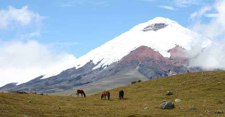 Voyage au milieu du monde - 16J - Visite du parc Cotopaxi - Visite du Parc Cotopaxi