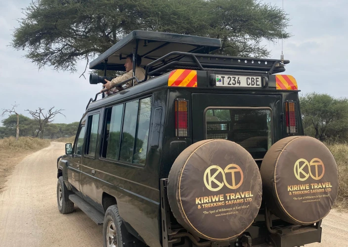 6 Days Treasure of Tanzania Safari - Serengeti National Park - FB - Photo of the day