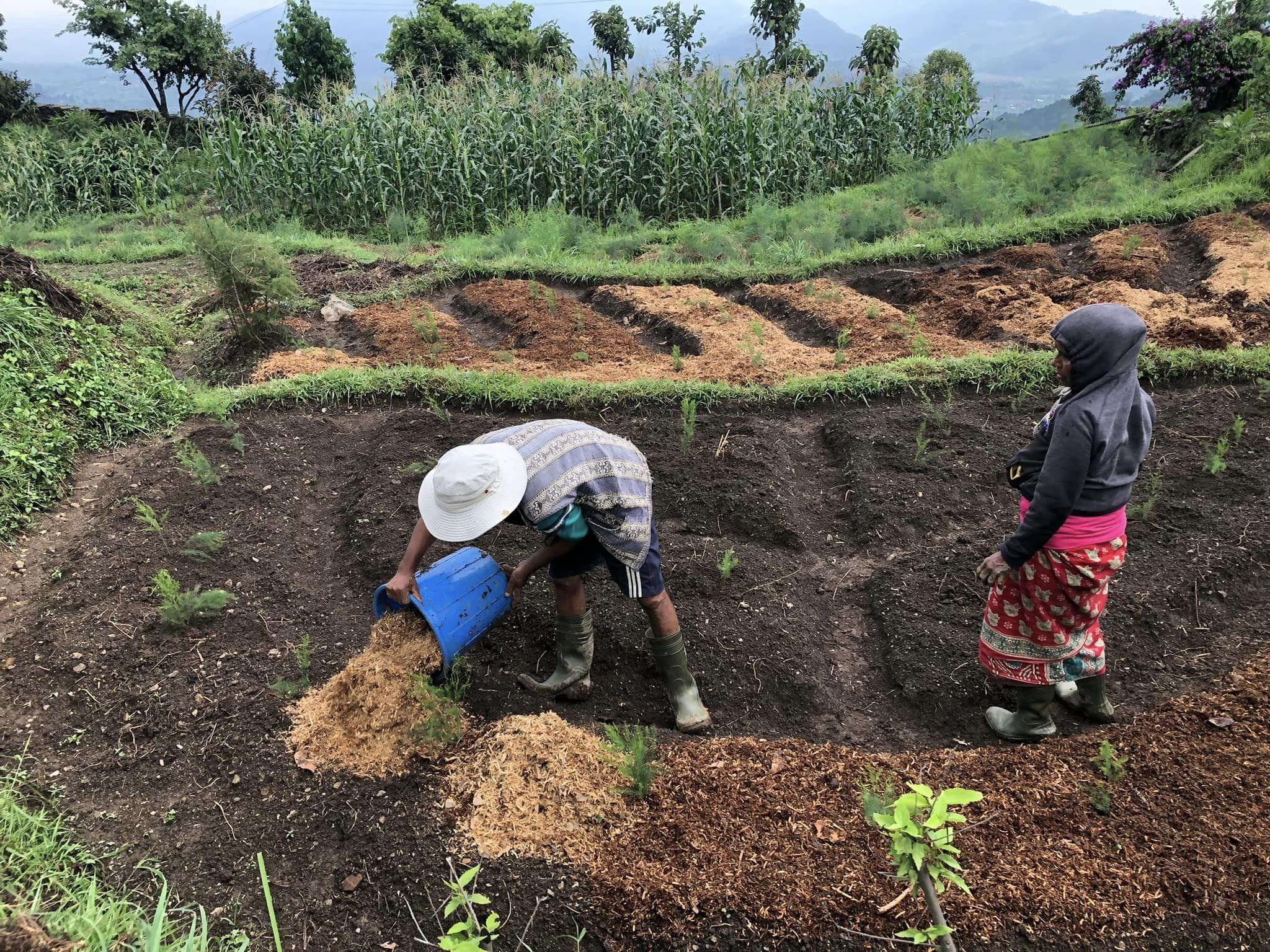 Gesichter Nepals - Geschichten von Machapuchare, dem heiligen Berg - Farm