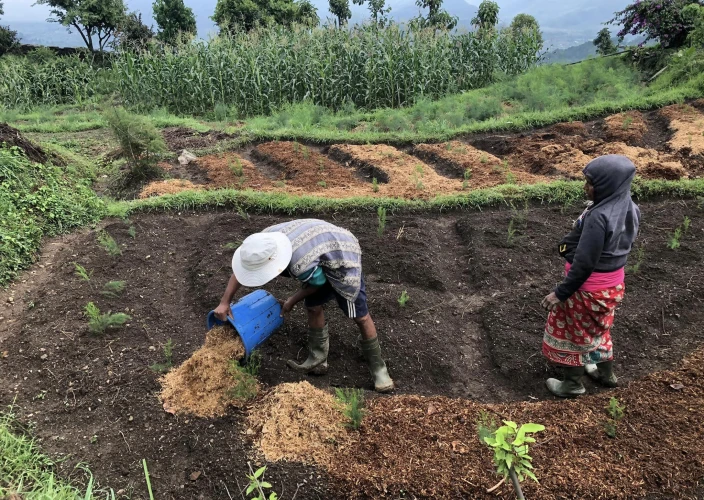 Faces of Nepal - Tales of Machapuchare, the holy mountain - Farm