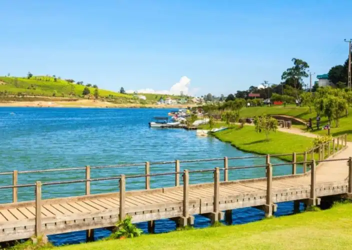 Het beste van Sri Lanka in 10 dagen | Editie 2026 - Reis naar de schilderachtige theeplantages in Nuwara Eliya - Foto van de dag