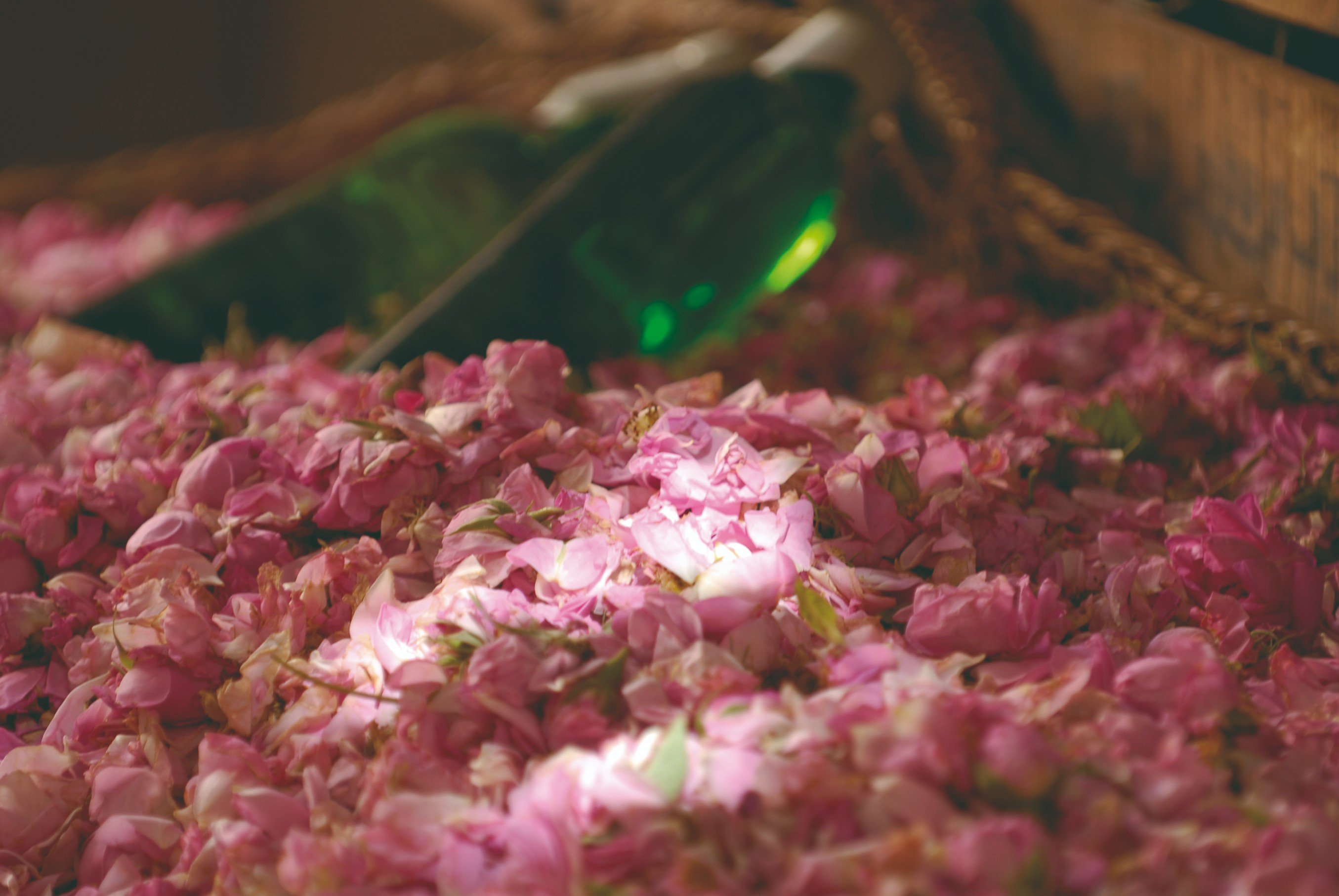 Vallei van de Rozen met duizend geuren - Marrakech - Boutaghrar - Alemdoun - Tamatount - Marrakech - Boutaghrar - Alemdoun - Tamatount