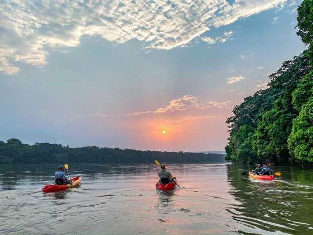 Exclusief verblijf in het hart van het nationaal park Odzala-Kokoua, juweel van Centraal-Afrika
