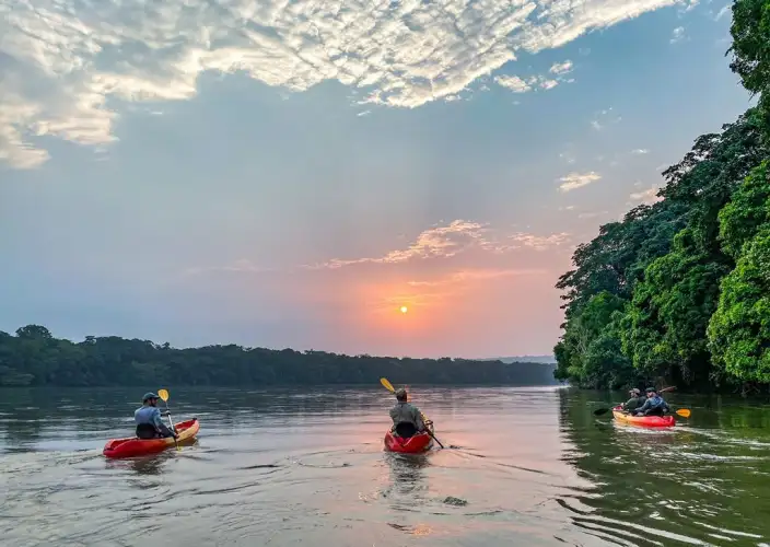 Exclusief verblijf in het hart van het nationaal park Odzala-Kokoua, juweel van Centraal-Afrika - Ngaga - Lango - Foto van de dag