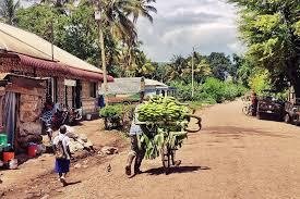 9-Day Northern Tanzania Wildlife Mid-Range Safari Experience with Cultural Tour - Drive to Mto wa Mbu for cultural activities and a bike tour. - 8a541e5c187ef650e4e111964190bd68