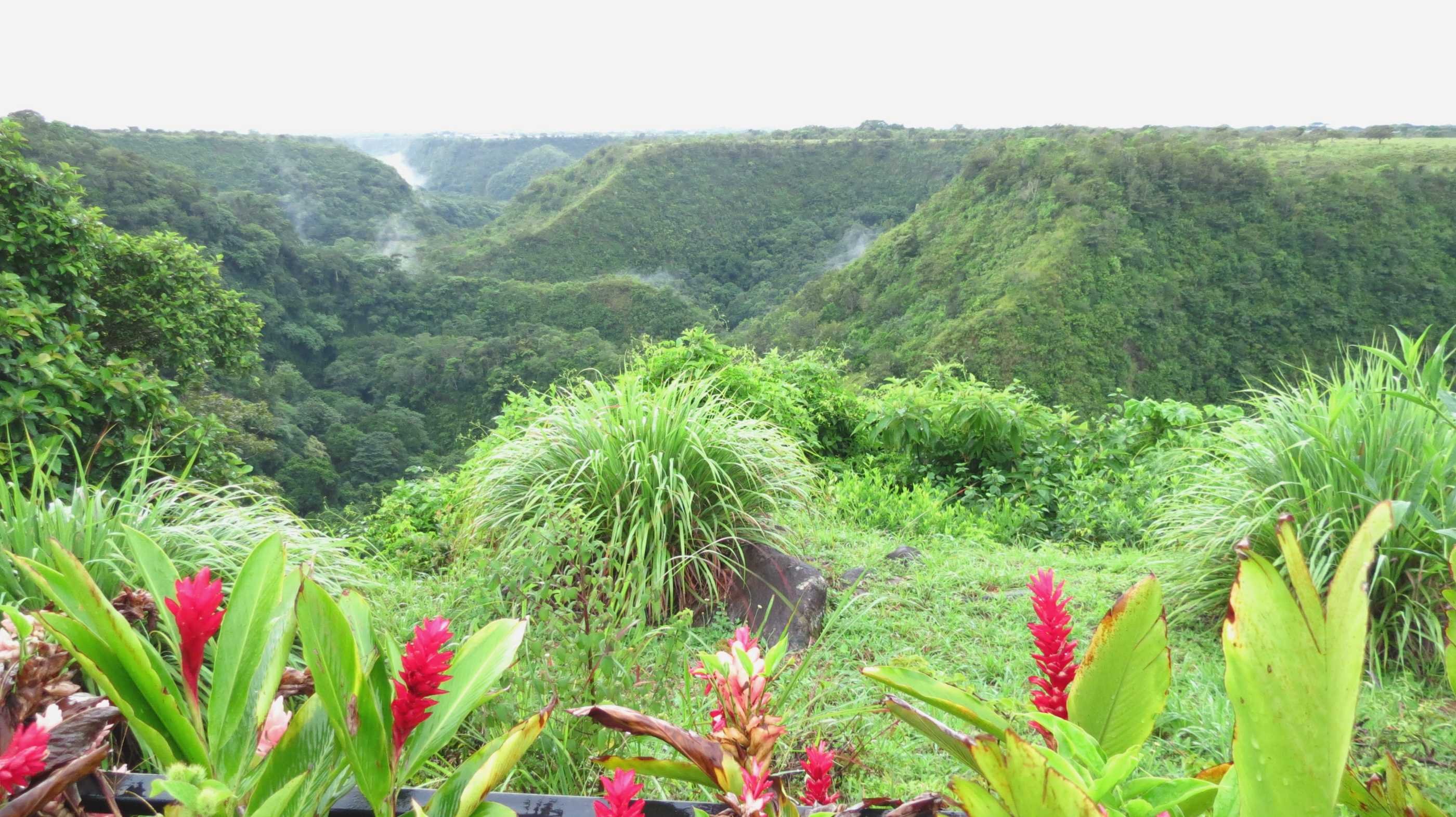 Door Panama en Costa Rica - Boquete - Boquete