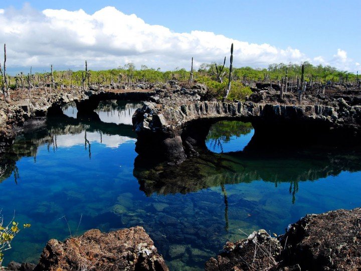 Galápagos y Machu Picchu - Túneles Cabo Rose, services partagés, zones humides - Photo du jour