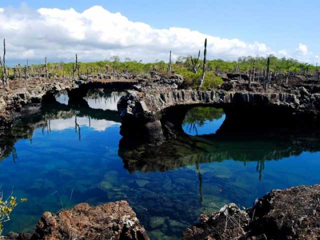Galápagos und Machu Picchu