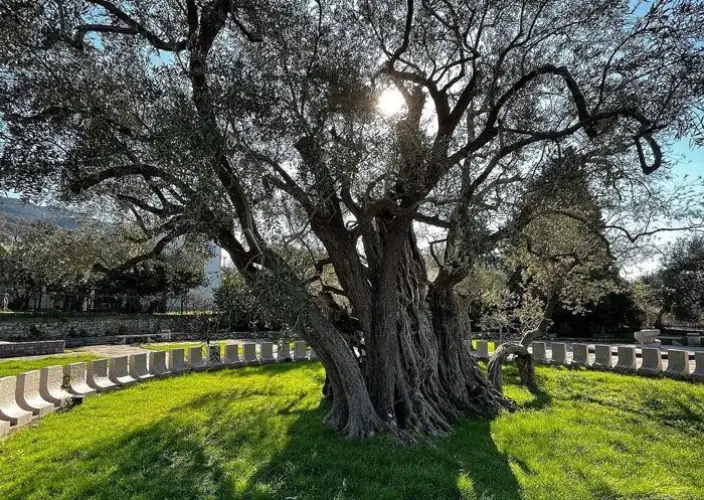 Through the Balkans: Canyons, Kingdoms, and Coasts - Adriatic Coast, Budva, and the Pirate Town of Ulcinj - Photo of the day