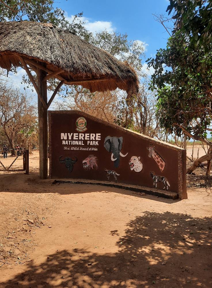 The Magical Gateway to Southern Tanzania - Game Drive - Photo of the day