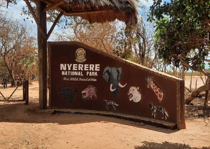 La puerta mágica al sur de Tanzania - Safari - Foto del día