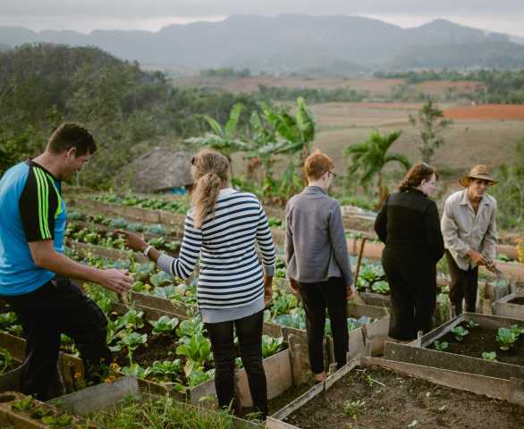 Esperienza di vita cubana definitiva – 9 giorni