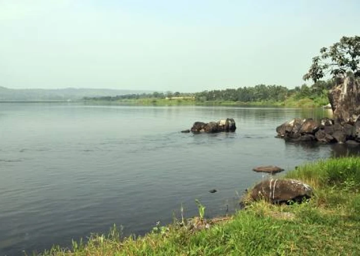 1-tägige Vogelbeobachtungs-Safari: Mabamba-Papyrussumpf & Schuhschnabelstorch - Ein 1-tägiger Mabamba-Sumpf-Schnabelstorch-Spot - Tagesfoto